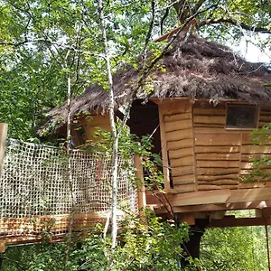  Camping Dans Les Arbres - Les Lutins France