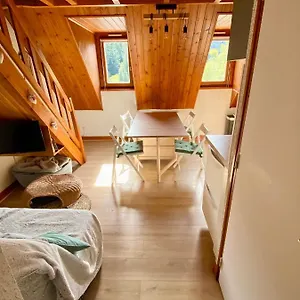  Appartement à 1400m - Station Du Mourtis France